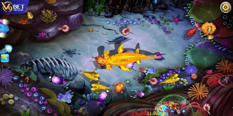 Lưu ý khi áp dụng mẹo bắn cá vào thực tiễn